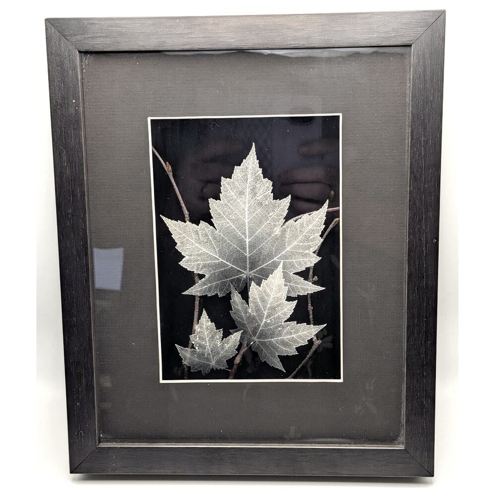 SAGE DESIGNS Phantom Leaves Framed Skeleton Leaf Wall Art Decor